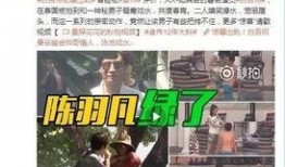 卓伟爆料的小鲜肉视频,揭秘娱乐圈潜规则与明星隐私边界